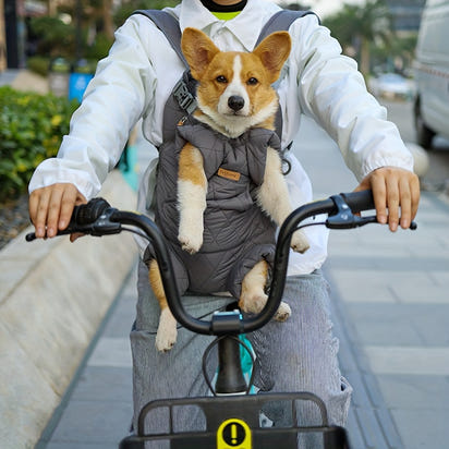 Pet Carrier Backpack