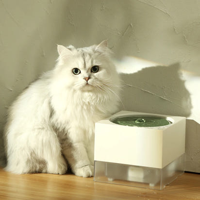 Cat Automatic Smart Water Bowl